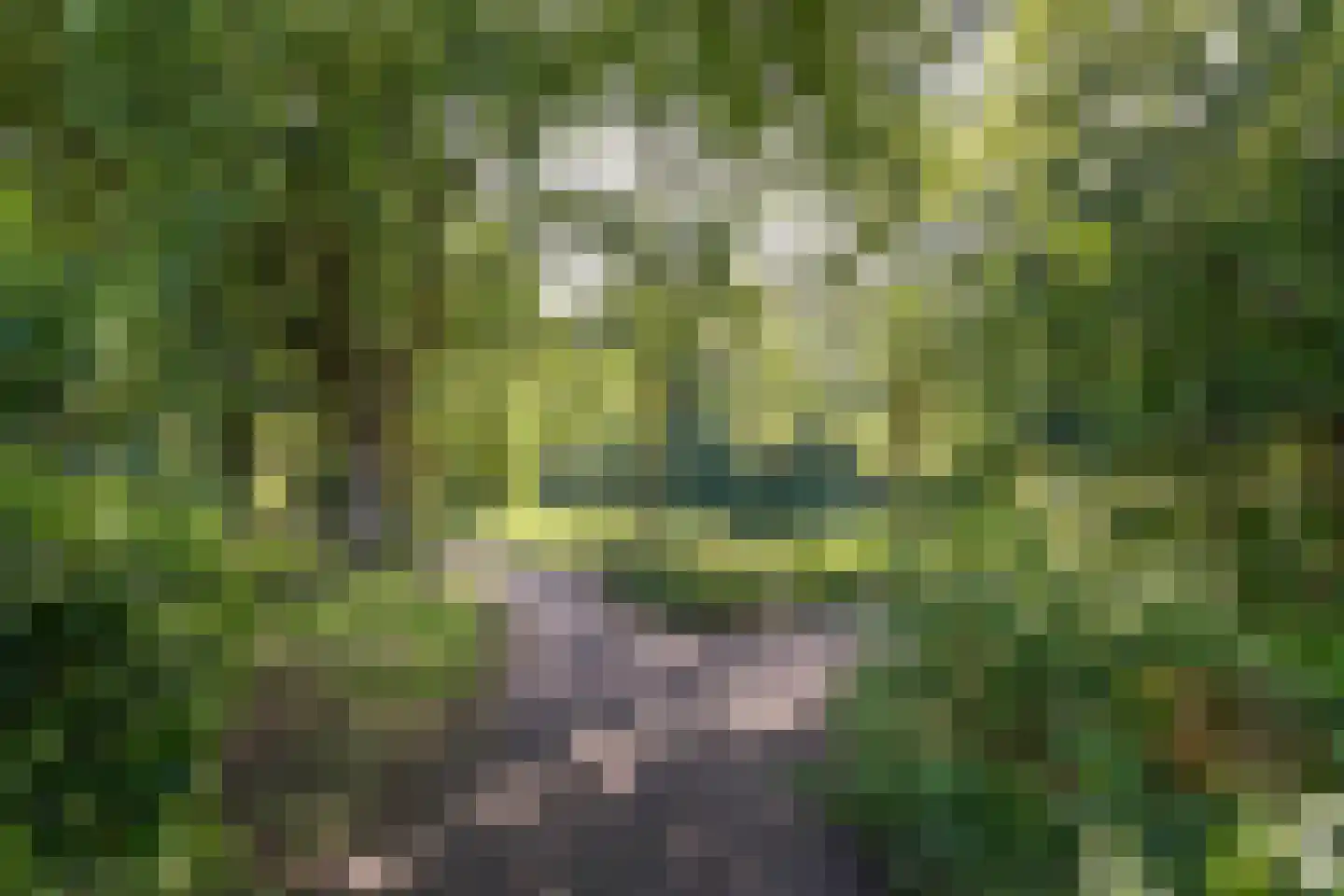 Elzendreef 629 Voorburg thumbnail 47