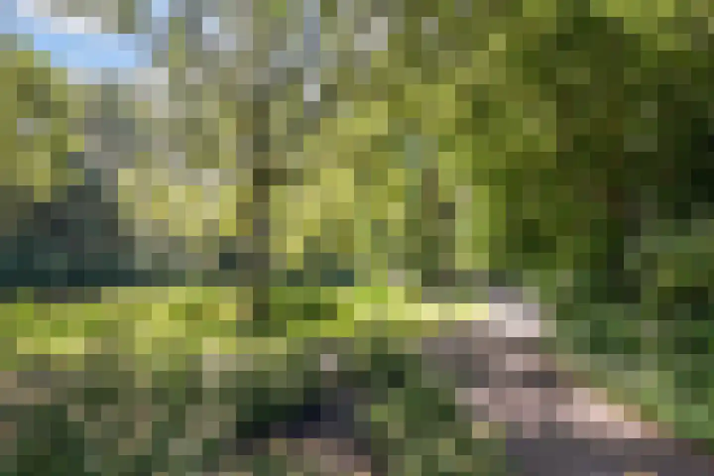Elzendreef 629 Voorburg thumbnail 48