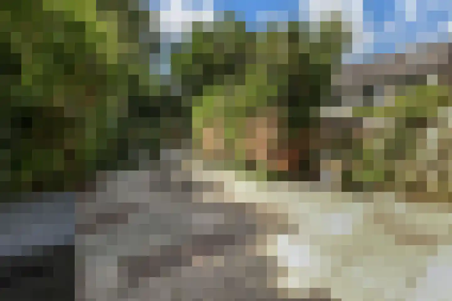 Elzendreef 629 Voorburg thumbnail 6