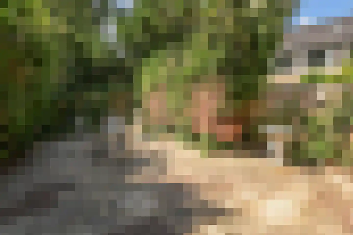 Elzendreef 629 Voorburg thumbnail 9