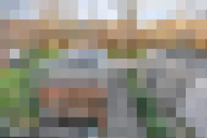Elzendreef 64 Vlaardingen thumbnail 12