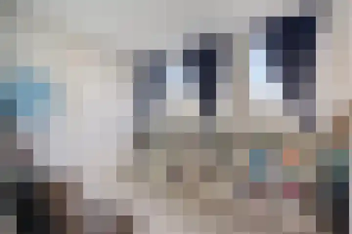 Elzendreef 64 Vlaardingen thumbnail 27