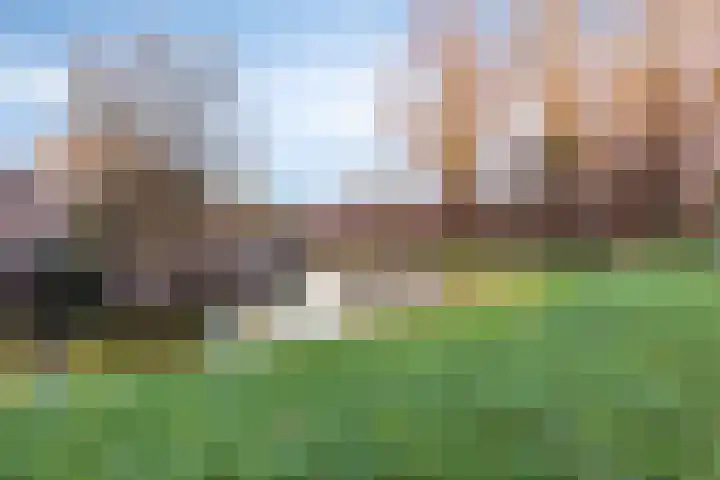 Elzendreef 64 Vlaardingen thumbnail 37
