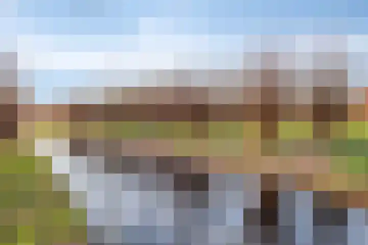 Elzendreef 64 Vlaardingen thumbnail 38