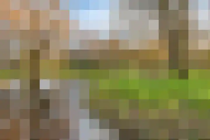 Elzendreef 64 Vlaardingen thumbnail 39
