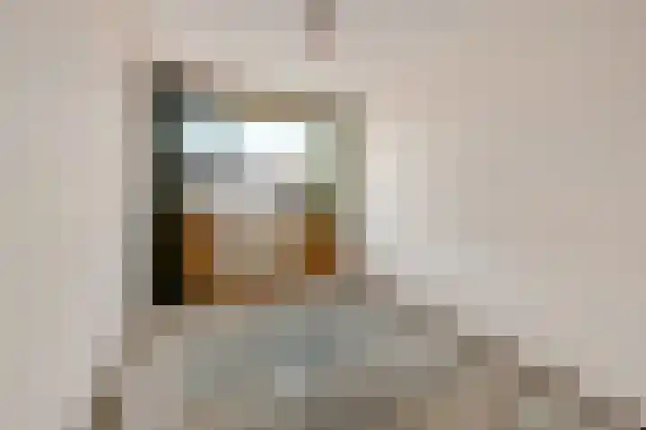 Elzendreef 651 Voorburg thumbnail 21