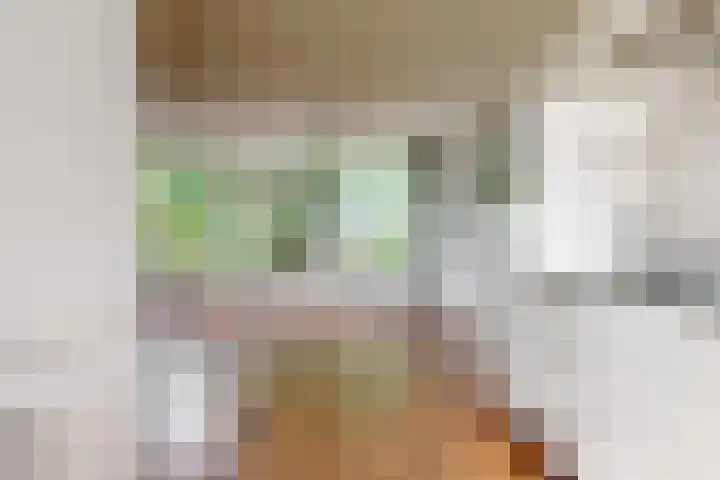 Elzendreef 653 Voorburg thumbnail 10