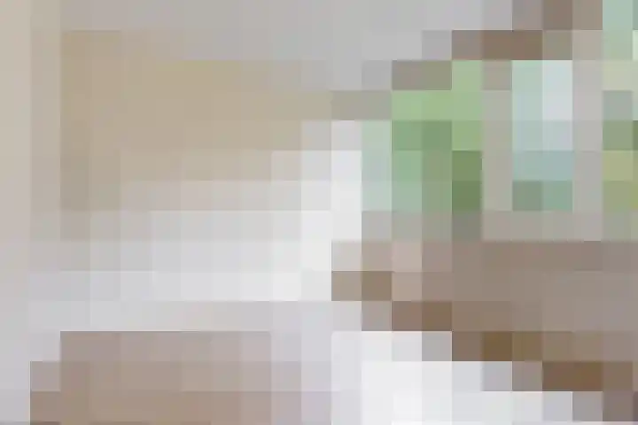 Elzendreef 653 Voorburg thumbnail 13