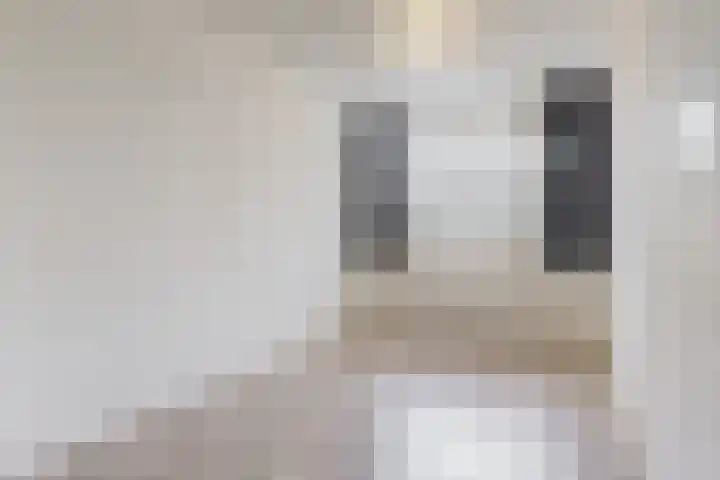 Elzendreef 653 Voorburg thumbnail 18