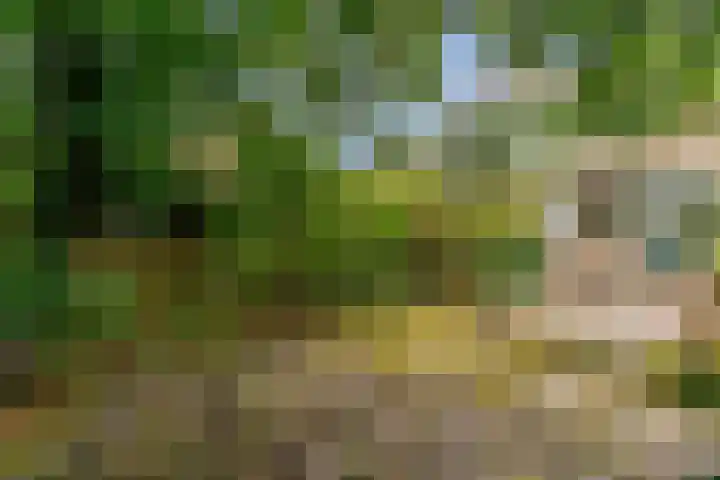 Elzendreef 653 Voorburg thumbnail 4