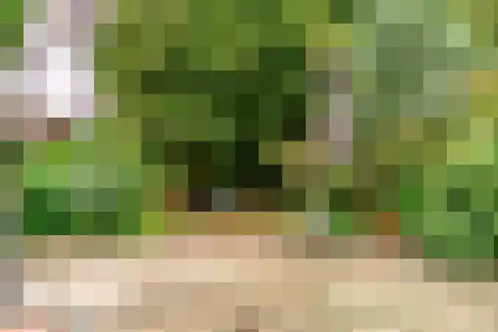 Elzendreef 653 Voorburg thumbnail 6