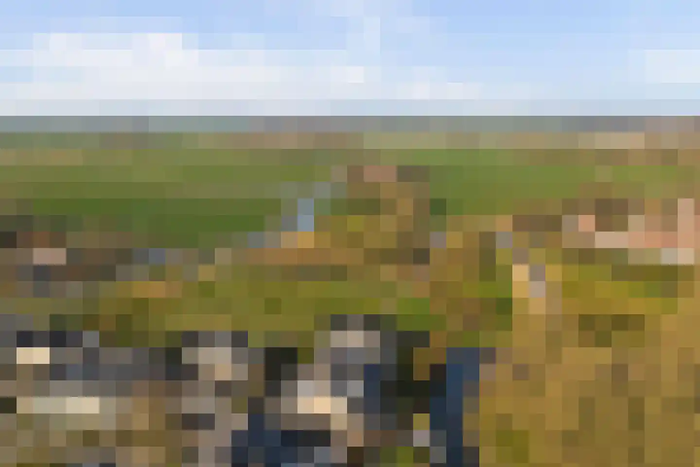 Elzendreef 82 Vlaardingen thumbnail 48