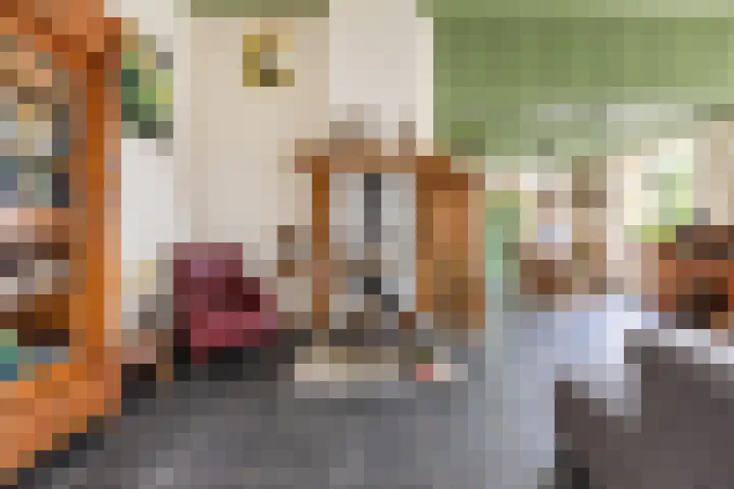 Elzendweg 29 Bergharen thumbnail 10