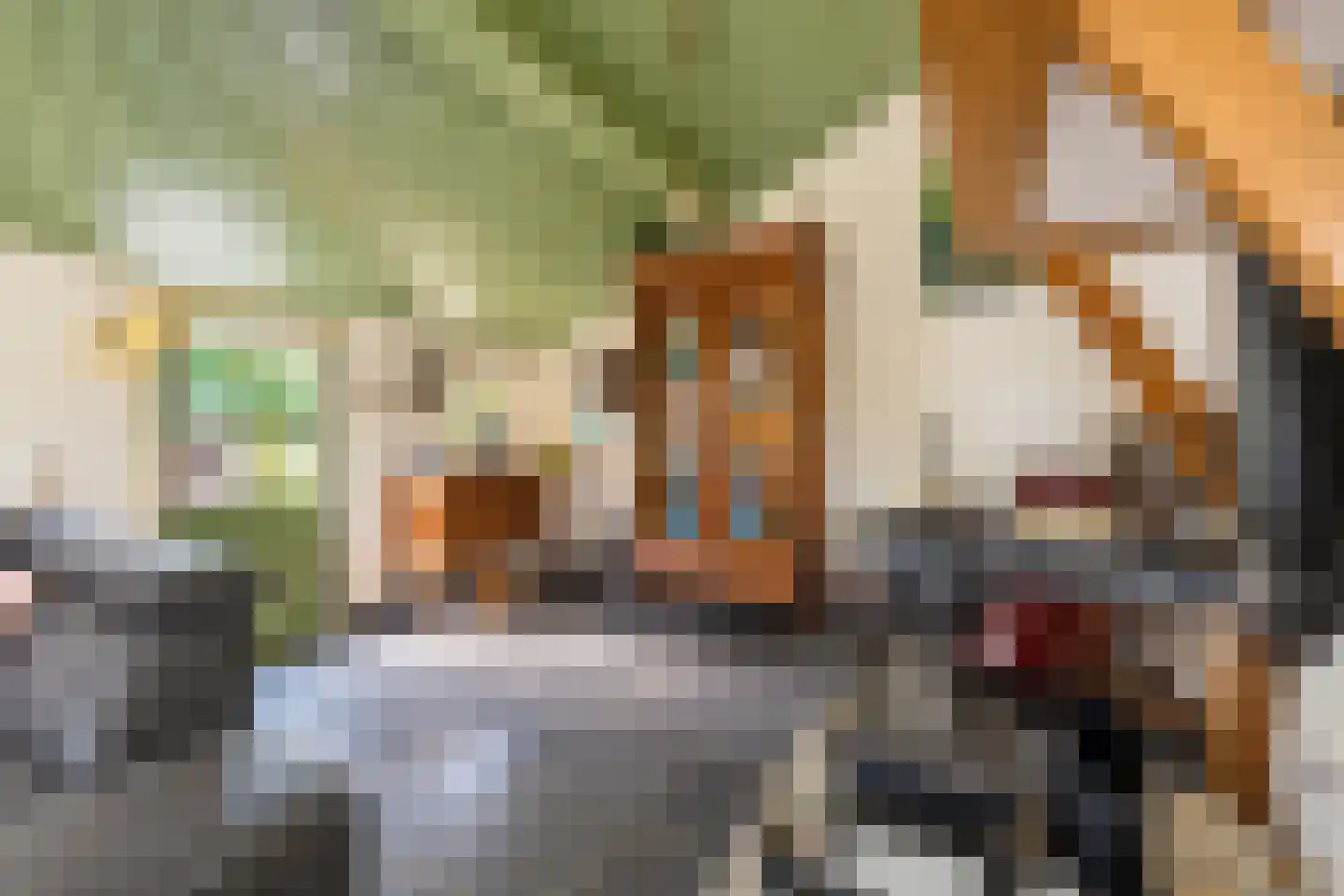 Elzendweg 29 Bergharen thumbnail 11