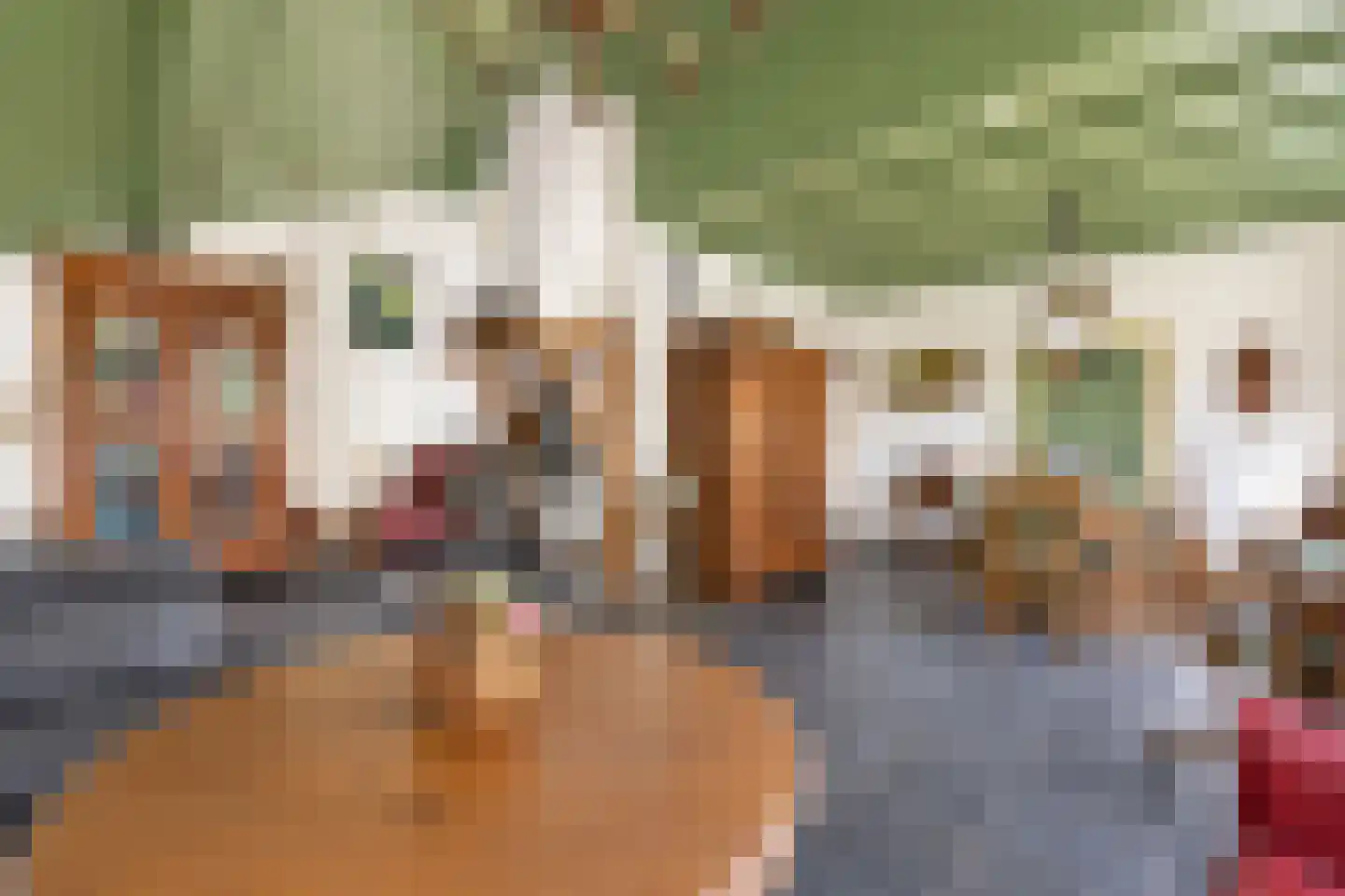 Elzendweg 29 Bergharen thumbnail 12