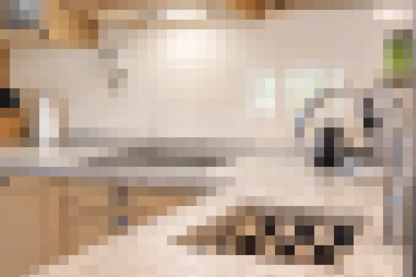 Elzendweg 29 Bergharen thumbnail 18