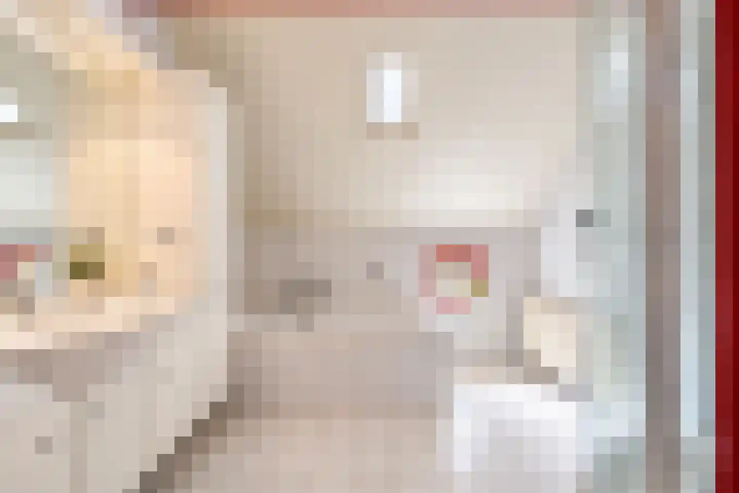Elzendweg 29 Bergharen thumbnail 32