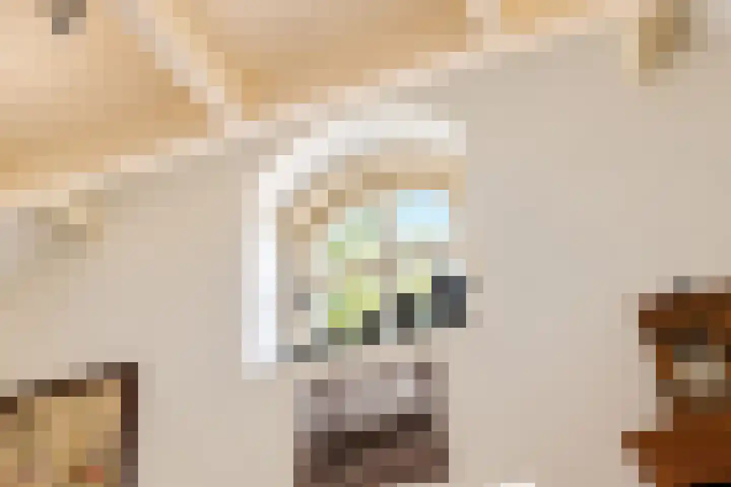 Elzendweg 29 Bergharen thumbnail 37