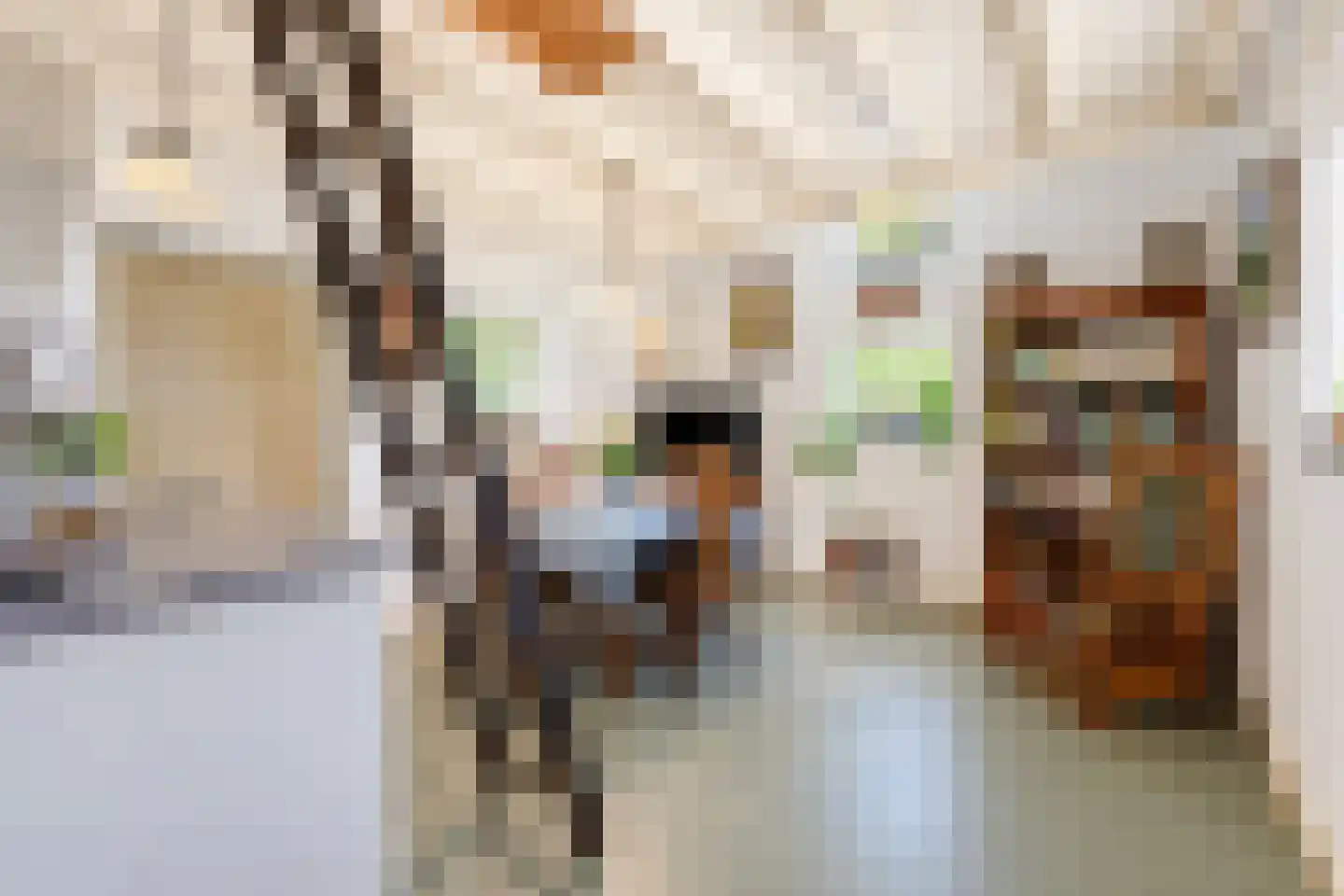 Elzendweg 29 Bergharen thumbnail 38
