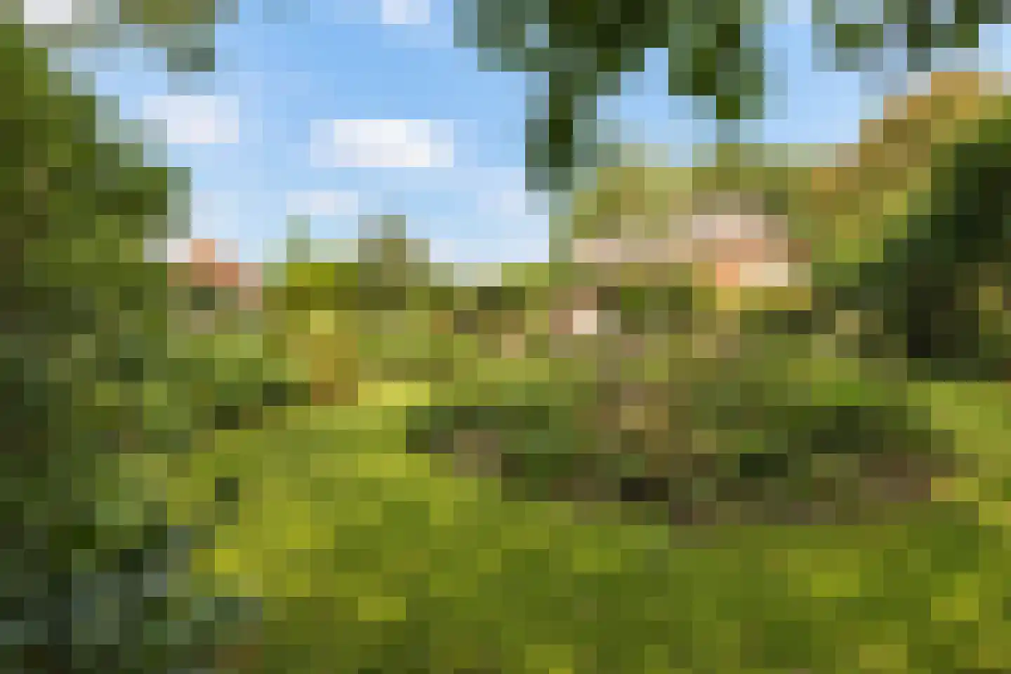 Elzendweg 29 Bergharen thumbnail 4
