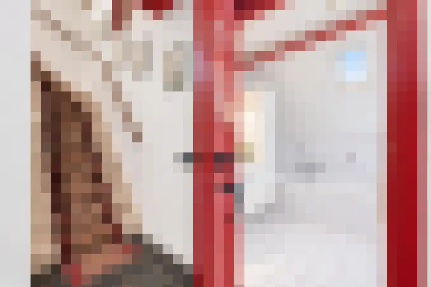 Elzendweg 29 Bergharen thumbnail 41