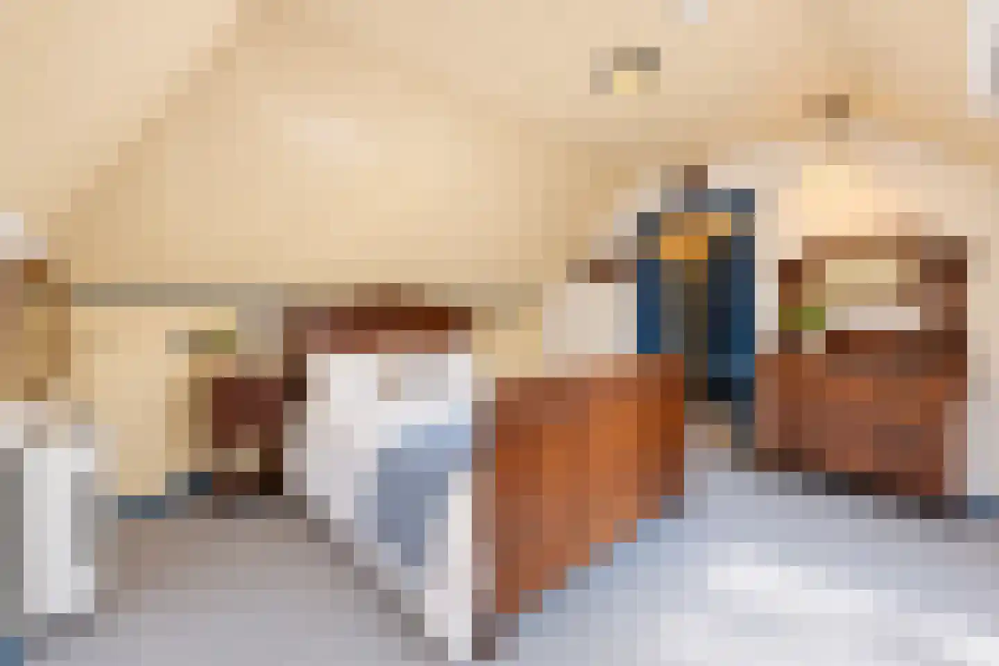 Elzendweg 29 Bergharen thumbnail 43