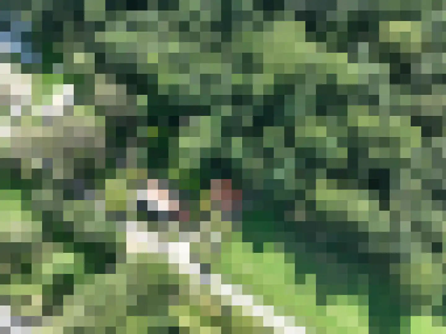 Elzendweg 29 Bergharen thumbnail 46