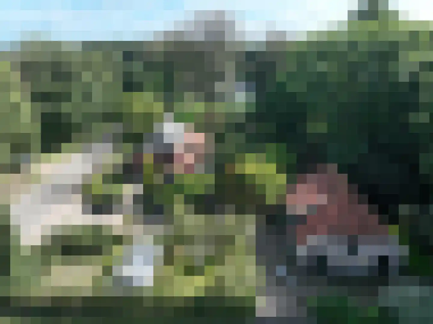 Elzendweg 29 Bergharen thumbnail 47