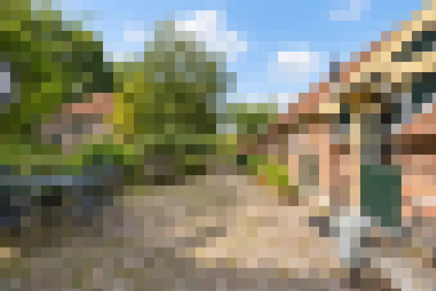 Elzendweg 29 Bergharen thumbnail 50