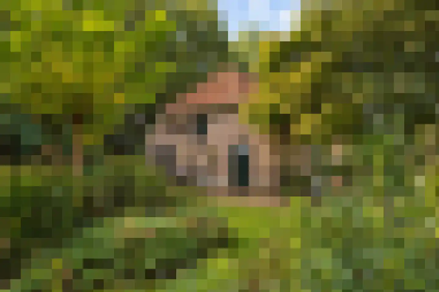 Elzendweg 29 Bergharen thumbnail 51
