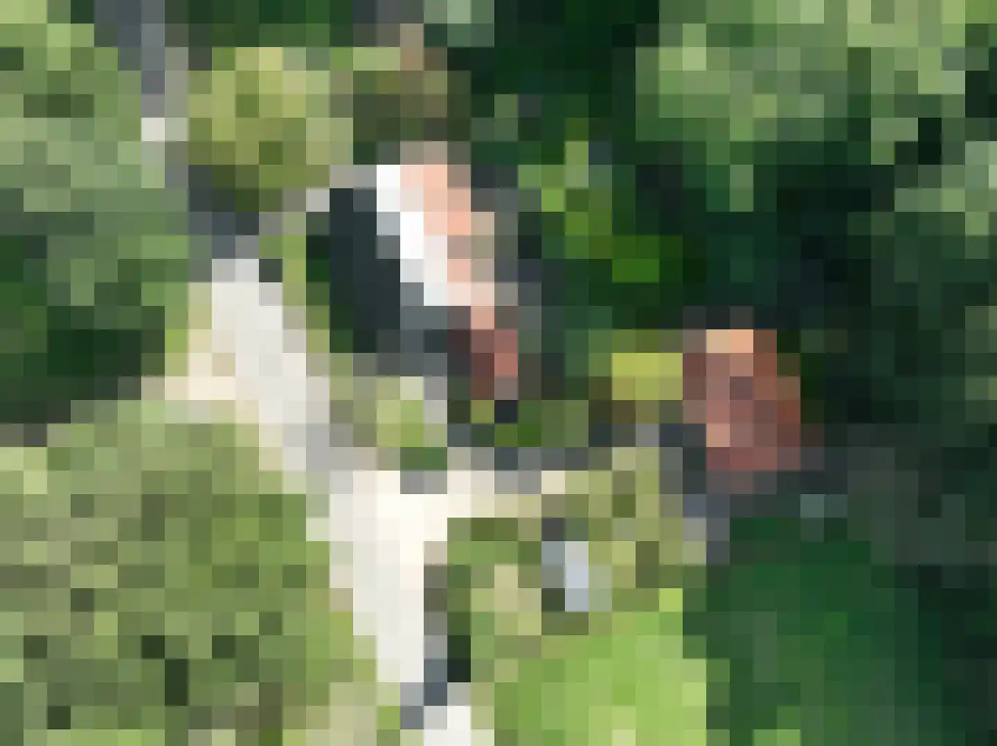 Elzendweg 29 Bergharen thumbnail 52