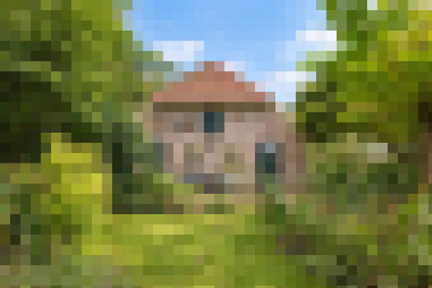 Elzendweg 29 Bergharen thumbnail 53