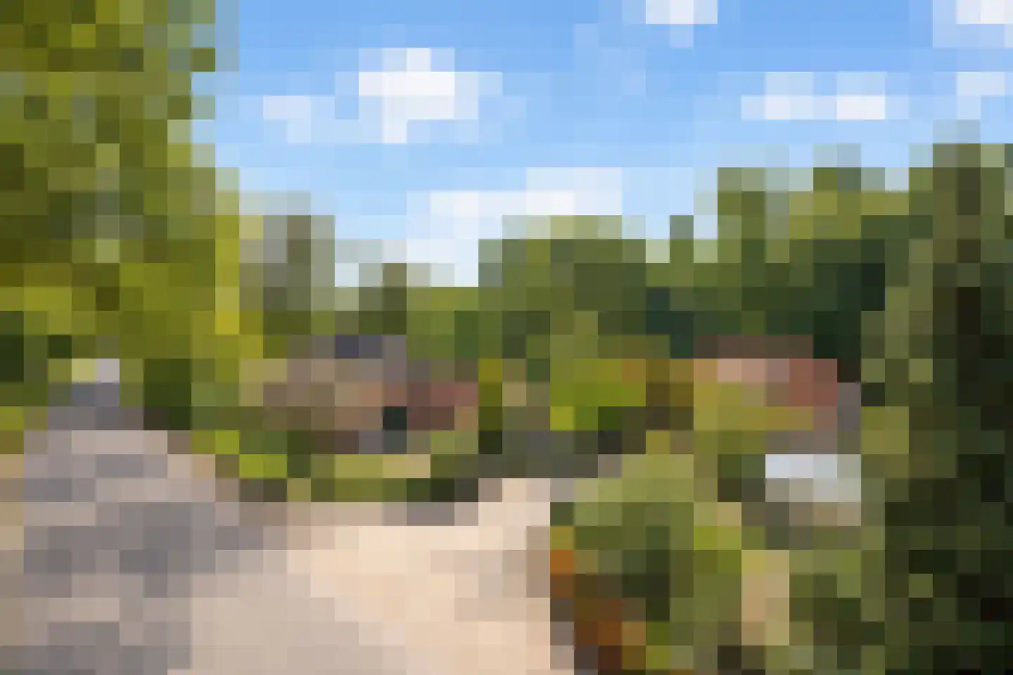 Elzendweg 29 Bergharen thumbnail 59