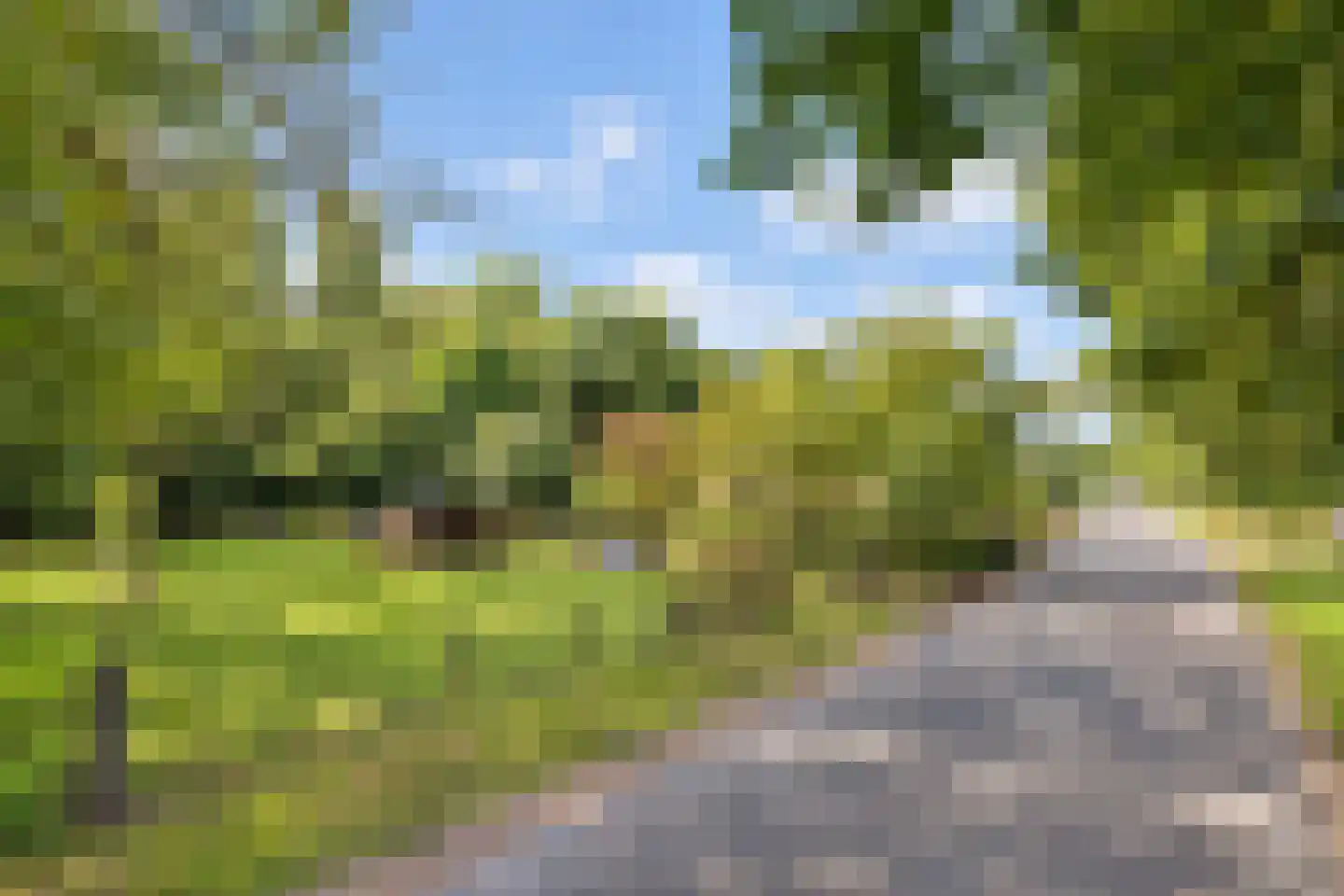 Elzendweg 29 Bergharen thumbnail 60