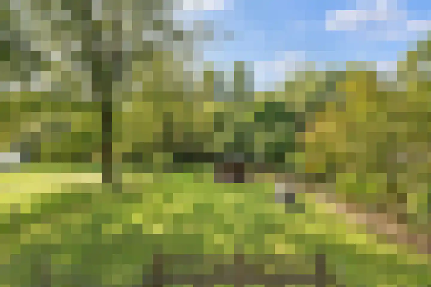 Elzendweg 29 Bergharen thumbnail 61