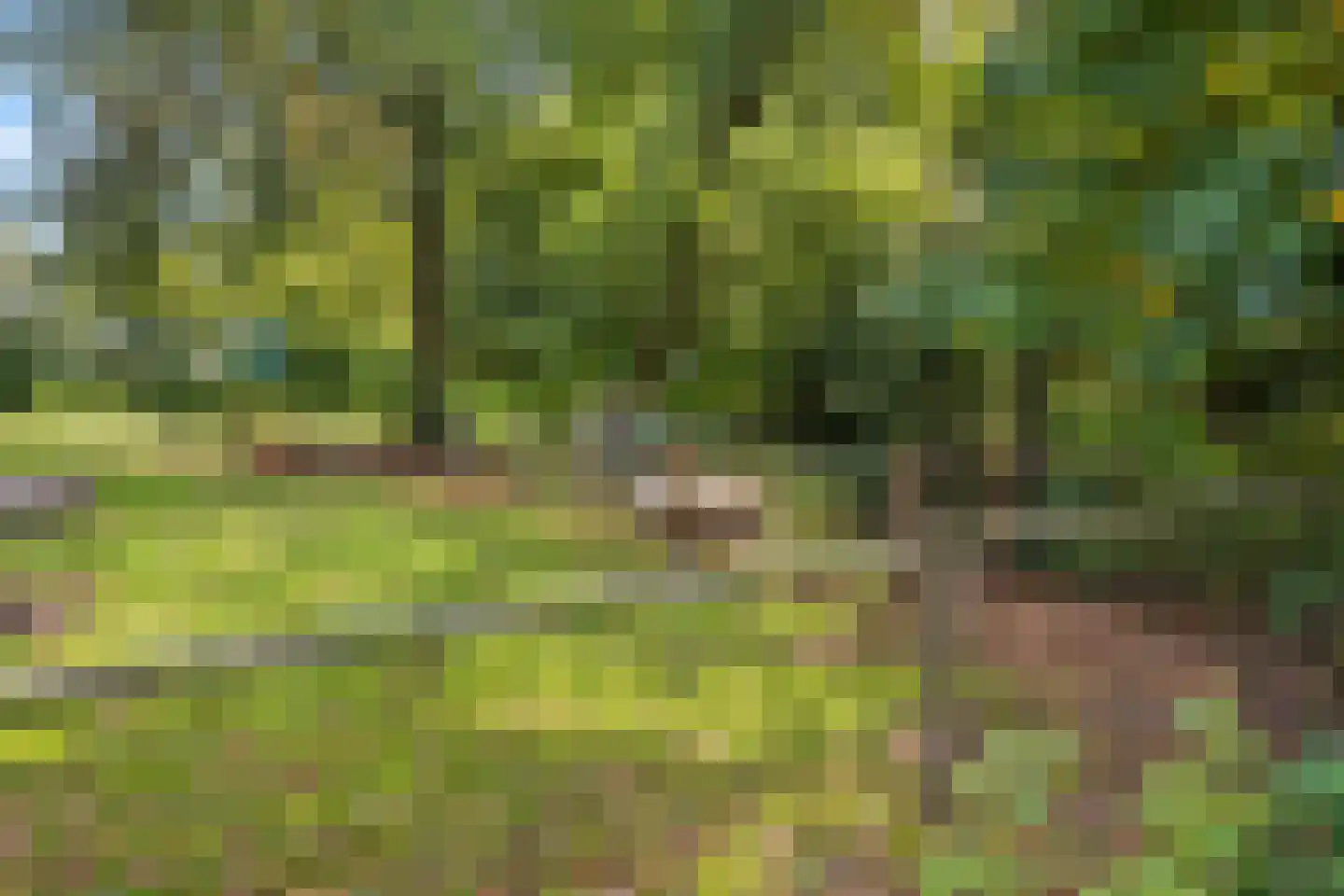 Elzendweg 29 Bergharen thumbnail 63