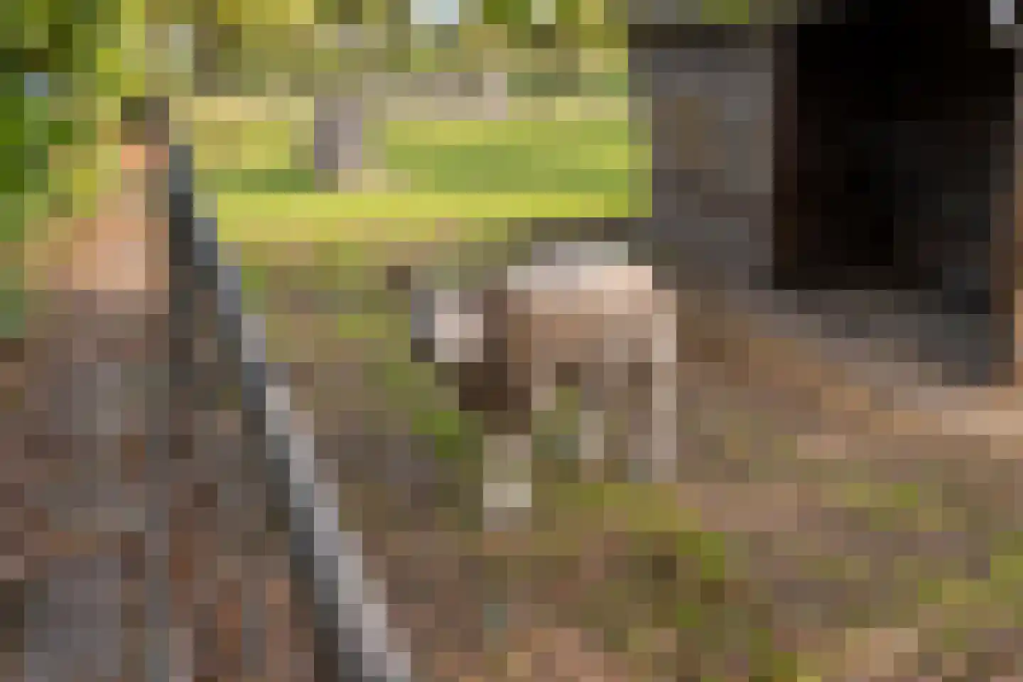 Elzendweg 29 Bergharen thumbnail 64