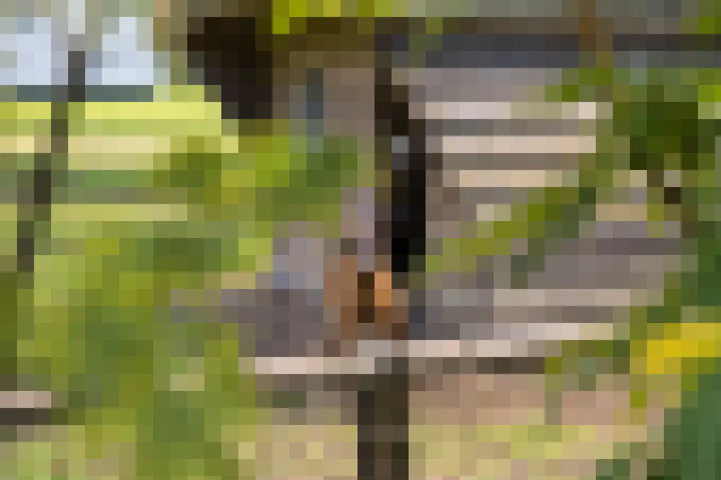 Elzendweg 29 Bergharen thumbnail 65