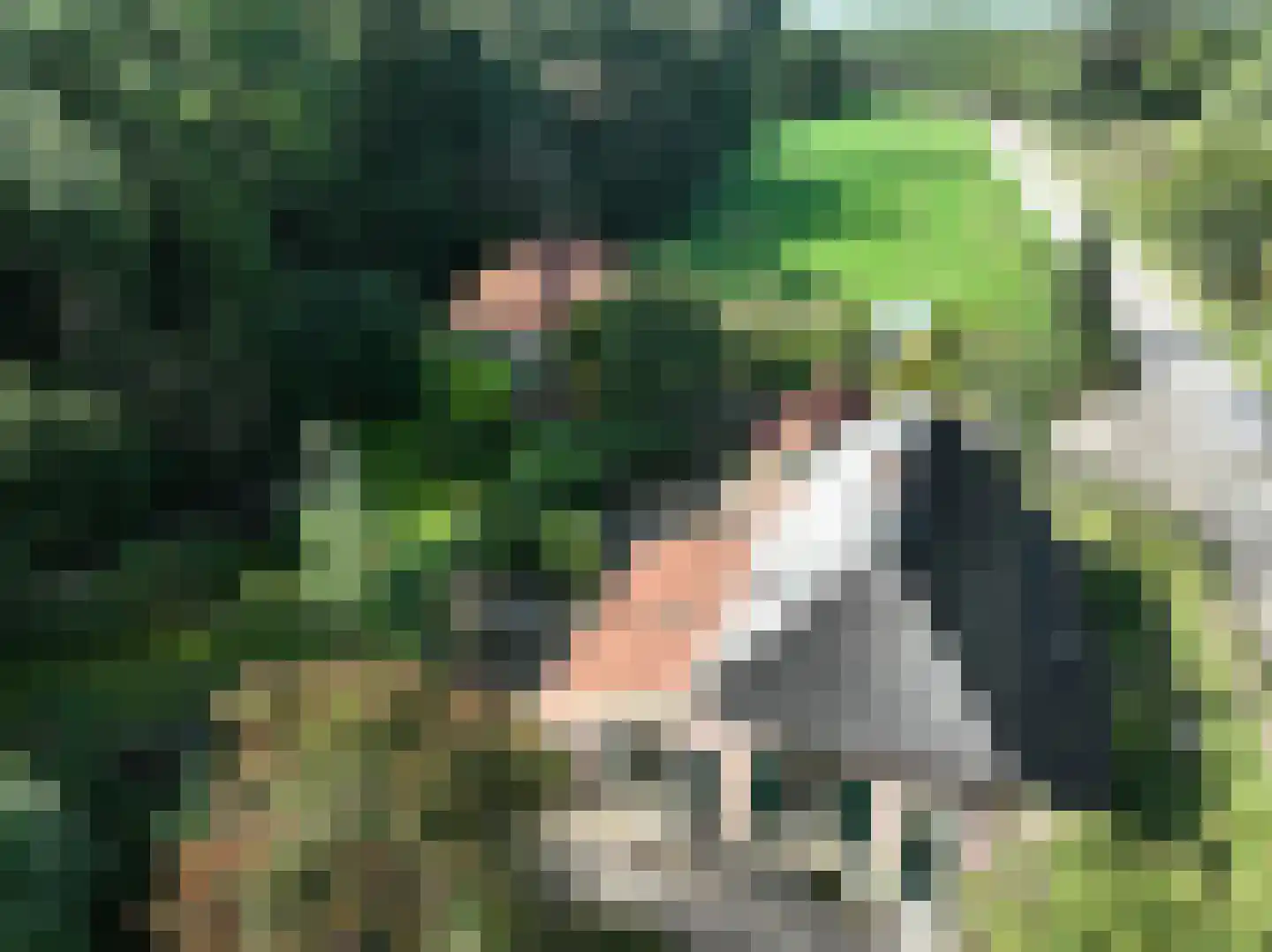 Elzendweg 29 Bergharen thumbnail 66
