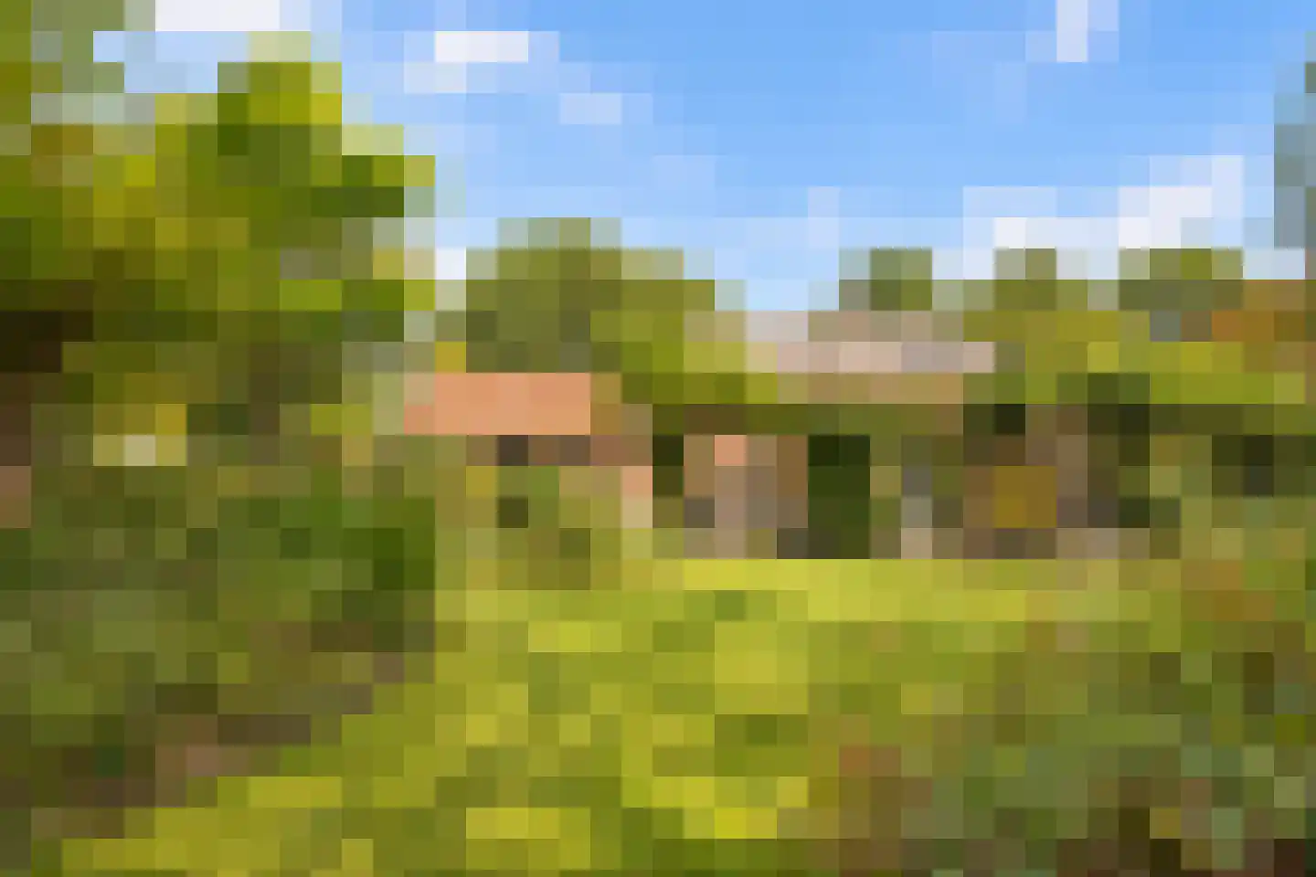 Elzendweg 29 Bergharen thumbnail 68