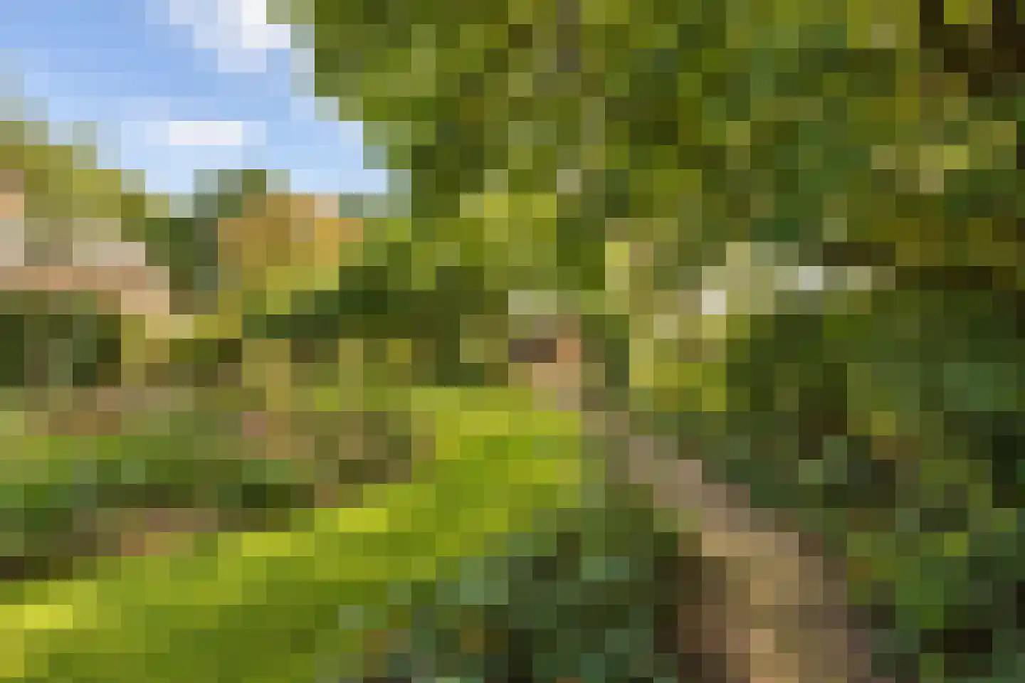 Elzendweg 29 Bergharen thumbnail 69