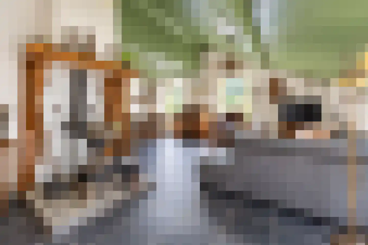 Elzendweg 29 Bergharen thumbnail 7