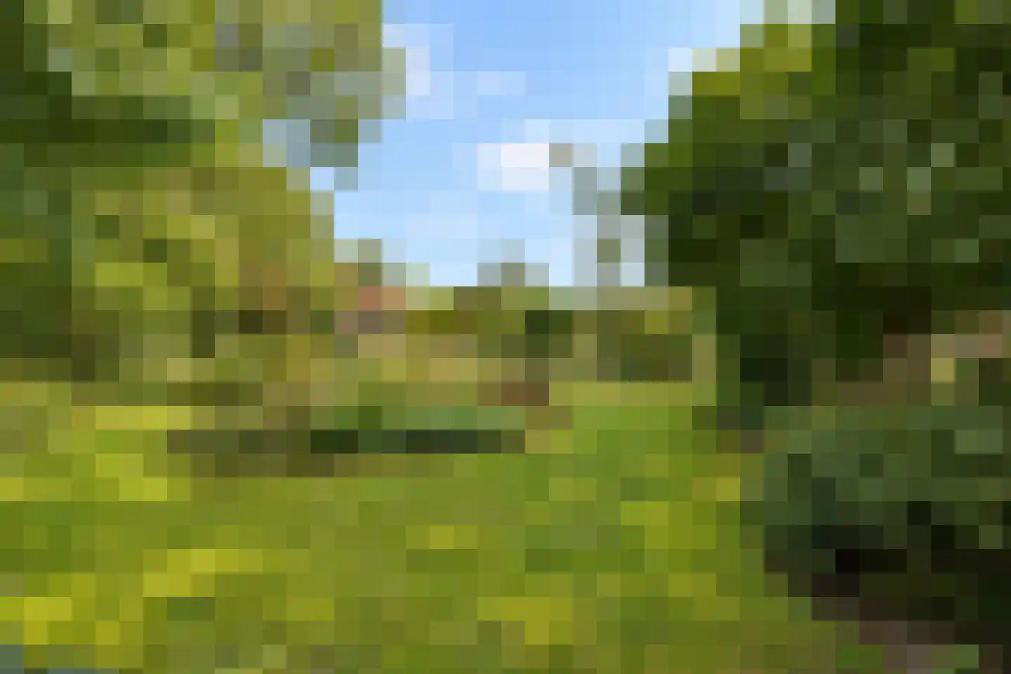 Elzendweg 29 Bergharen thumbnail 70