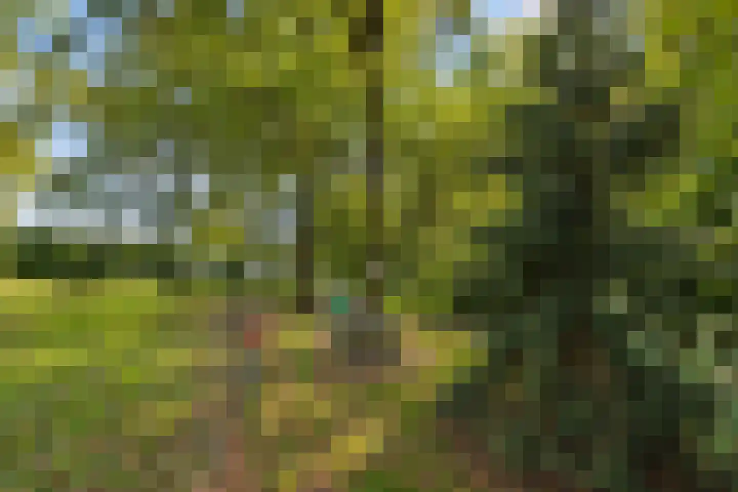 Elzendweg 29 Bergharen thumbnail 71