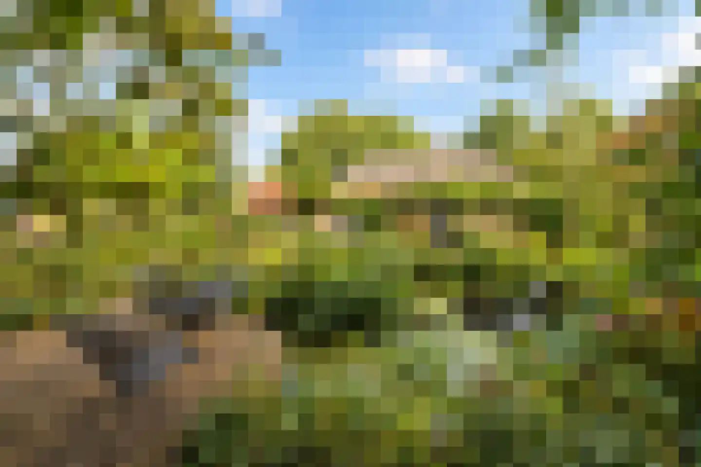 Elzendweg 29 Bergharen thumbnail 72