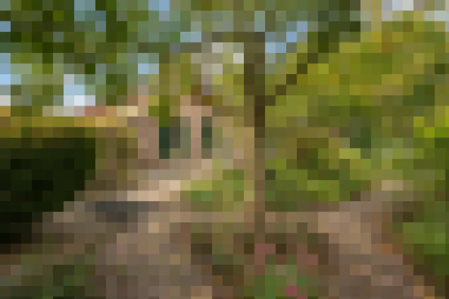 Elzendweg 29 Bergharen thumbnail 73
