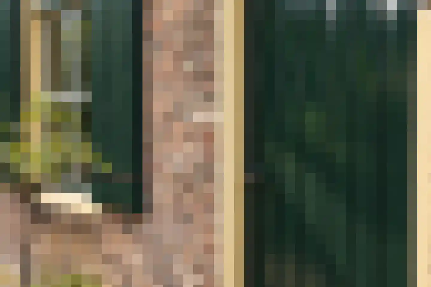 Elzendweg 29 Bergharen thumbnail 75