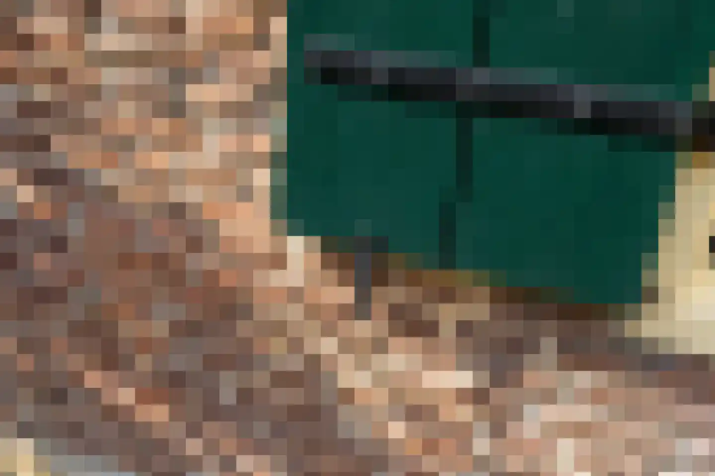 Elzendweg 29 Bergharen thumbnail 77