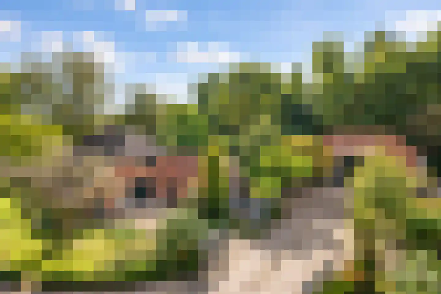 Elzendweg 29 Bergharen thumbnail 78