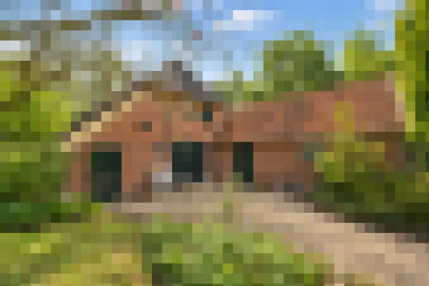 Elzendweg 29 Bergharen thumbnail 79